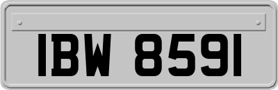 IBW8591