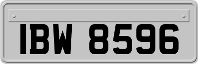 IBW8596