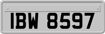 IBW8597