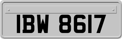 IBW8617