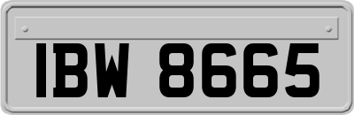 IBW8665