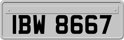 IBW8667