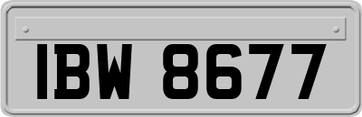 IBW8677