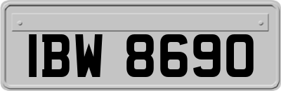 IBW8690
