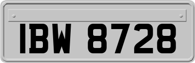 IBW8728