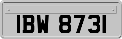 IBW8731