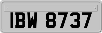 IBW8737