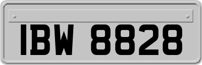 IBW8828