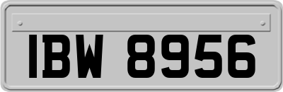 IBW8956
