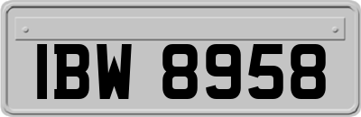 IBW8958