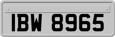 IBW8965
