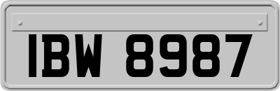 IBW8987