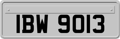 IBW9013