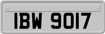 IBW9017