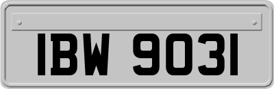 IBW9031