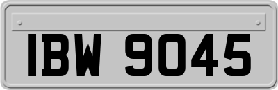 IBW9045