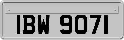 IBW9071