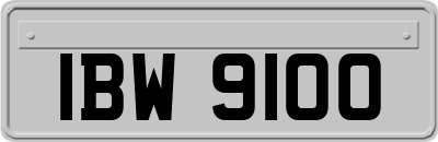IBW9100