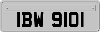 IBW9101