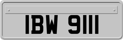 IBW9111