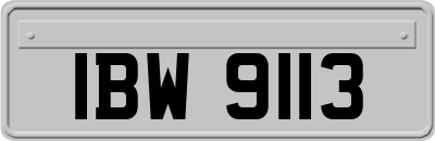 IBW9113