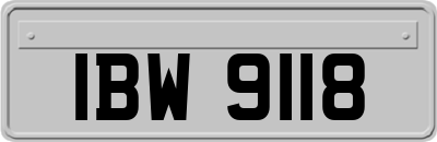 IBW9118