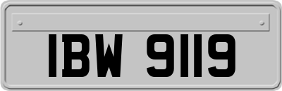 IBW9119