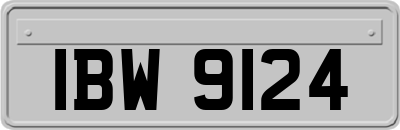IBW9124
