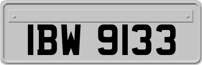 IBW9133