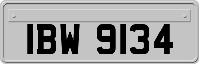 IBW9134