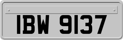 IBW9137