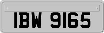 IBW9165