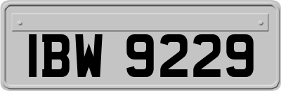 IBW9229