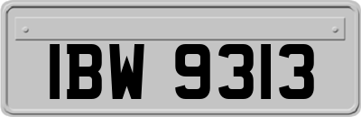 IBW9313