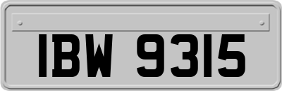 IBW9315