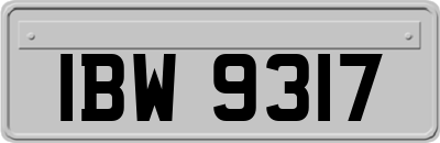 IBW9317