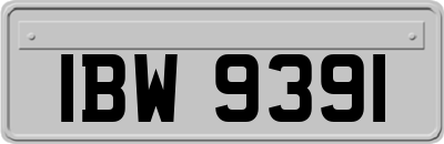 IBW9391