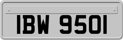 IBW9501