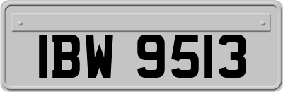 IBW9513
