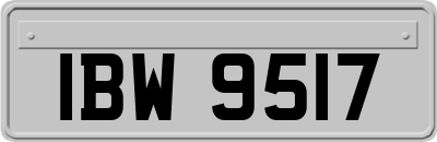 IBW9517