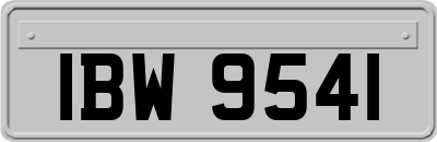 IBW9541