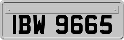 IBW9665