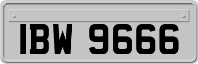 IBW9666
