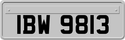 IBW9813