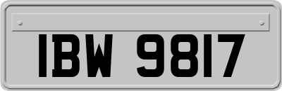 IBW9817