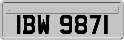 IBW9871