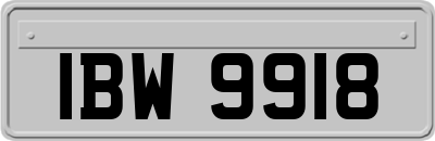 IBW9918
