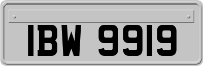 IBW9919