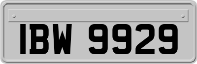 IBW9929