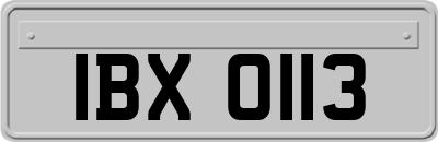 IBX0113